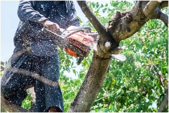 tree services Weleetka